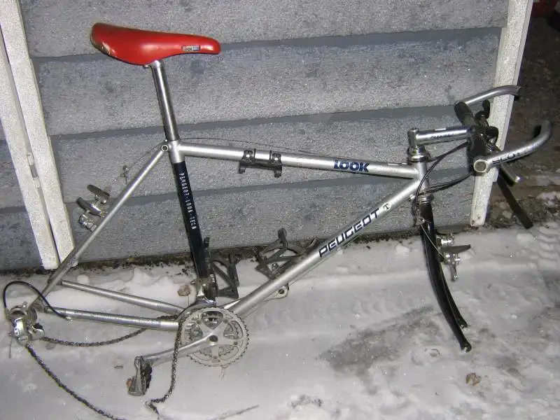 ritcheypp.webp