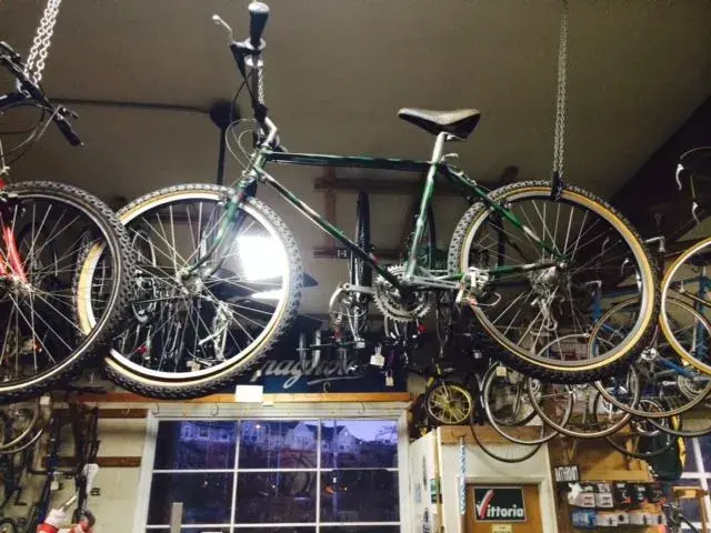 mountain goat at RC.webp