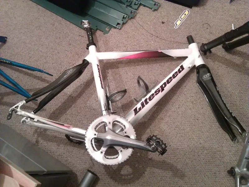 LITESPEED.webp