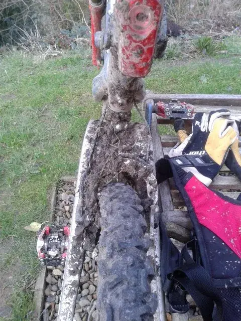 Muddy Maguras.webp