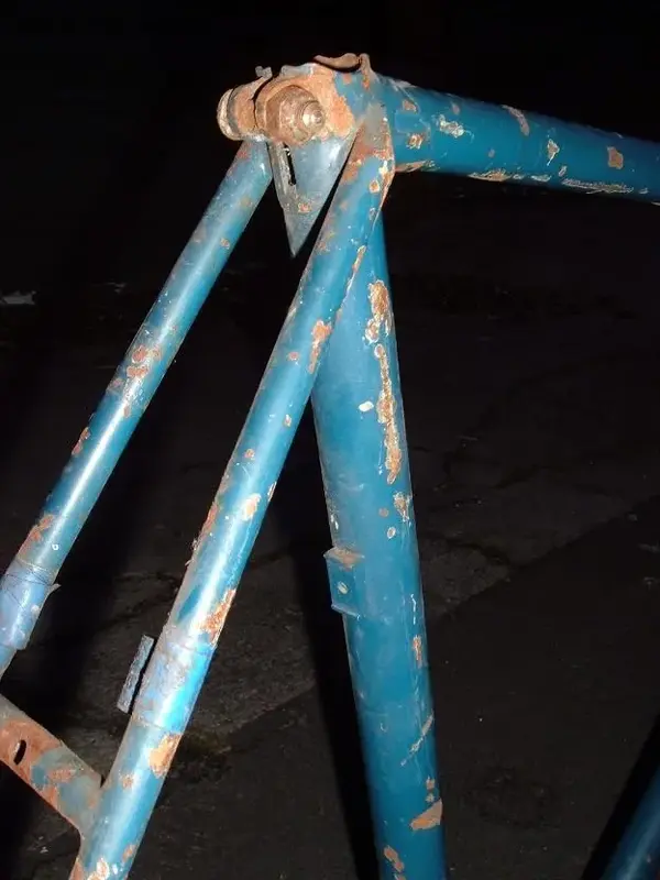 frame 2.webp