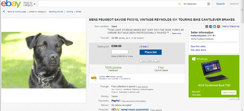 dog on ebay.webp