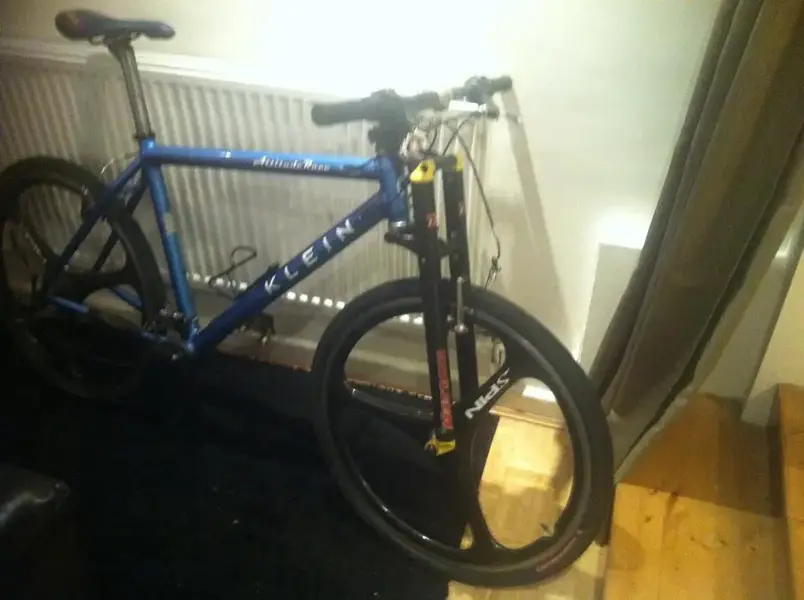 race4.webp