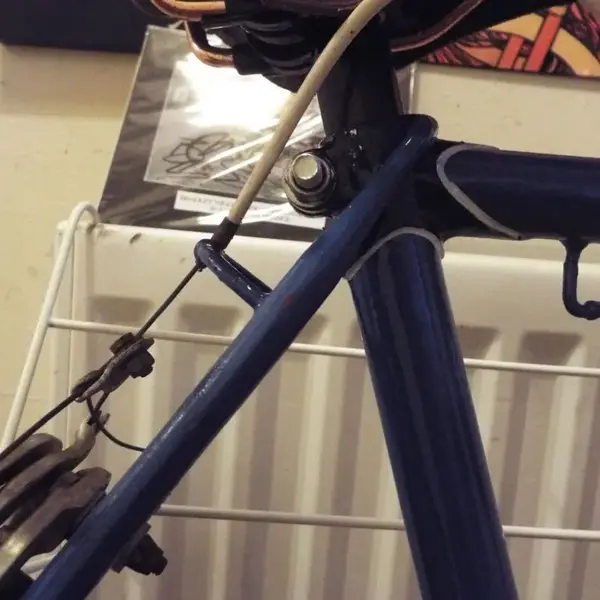image_3.webp