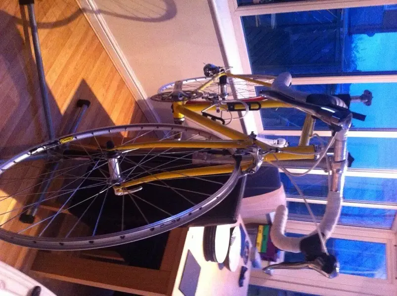 wheel3.webp