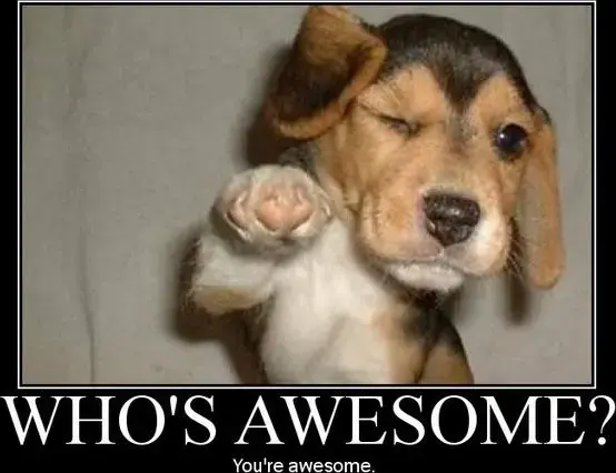 who-is-awesome.webp