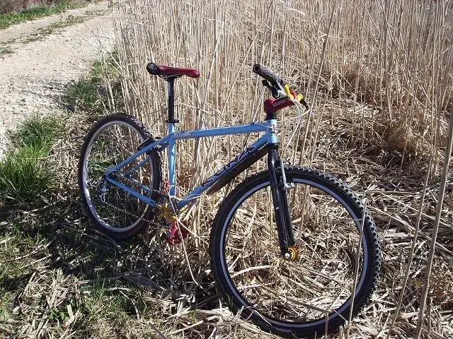 ride out 16.3.14 007.webp