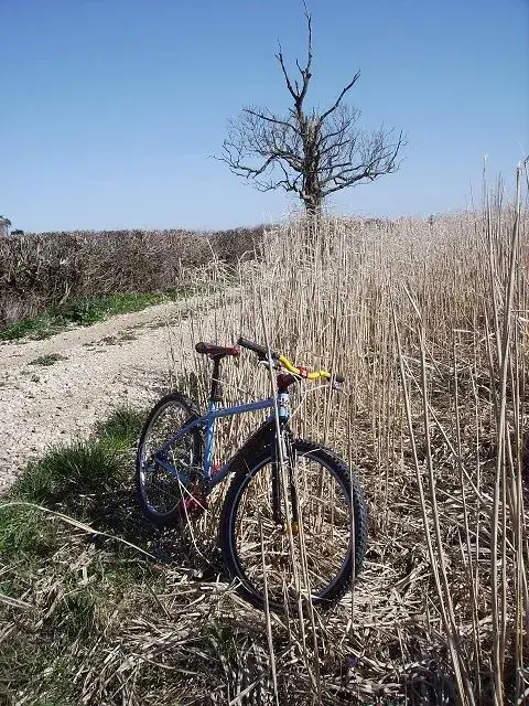ride out 16.3.14 006.webp