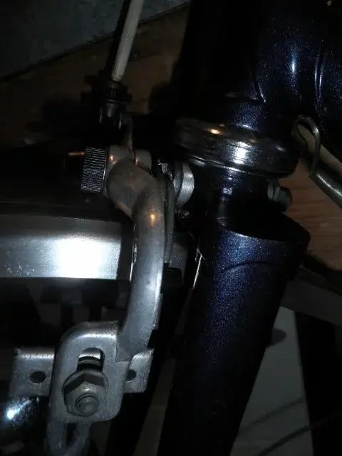 P3130048 (480x640).webp