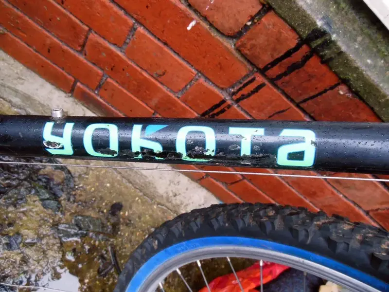 yokota.webp