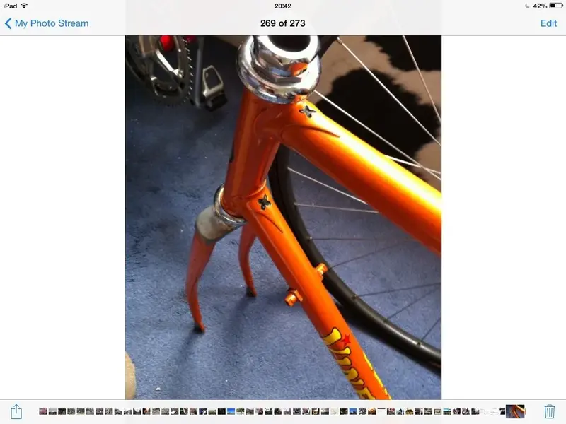 image.webp