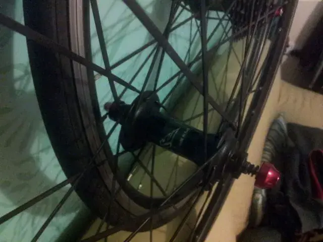 spokes.webp