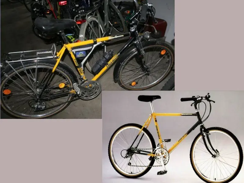 koga_ridgeRunner.webp