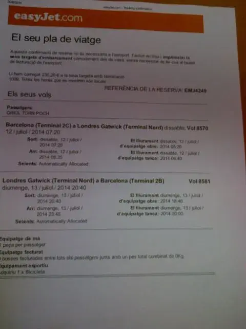 Gatwick flight.webp