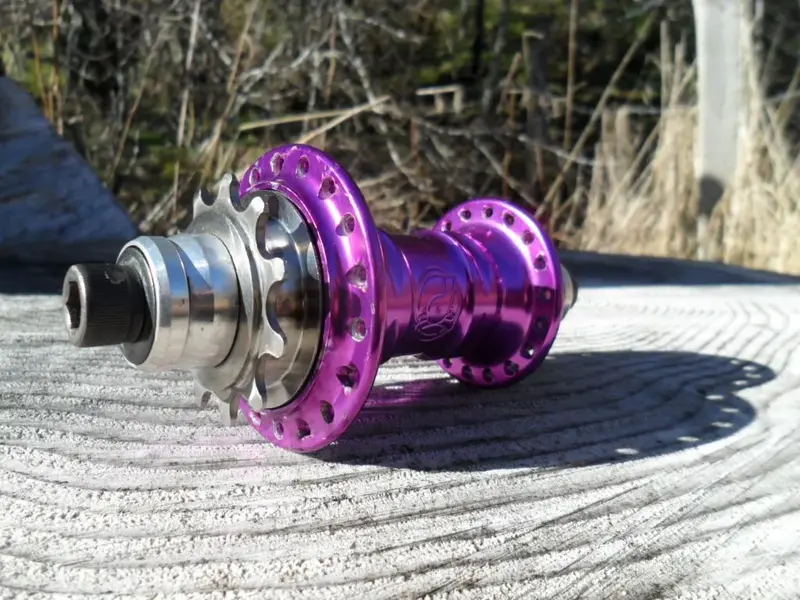 purple 36 2.webp