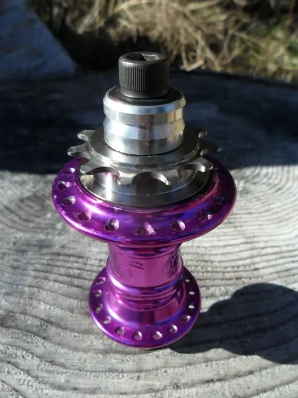 purple 36 4.webp
