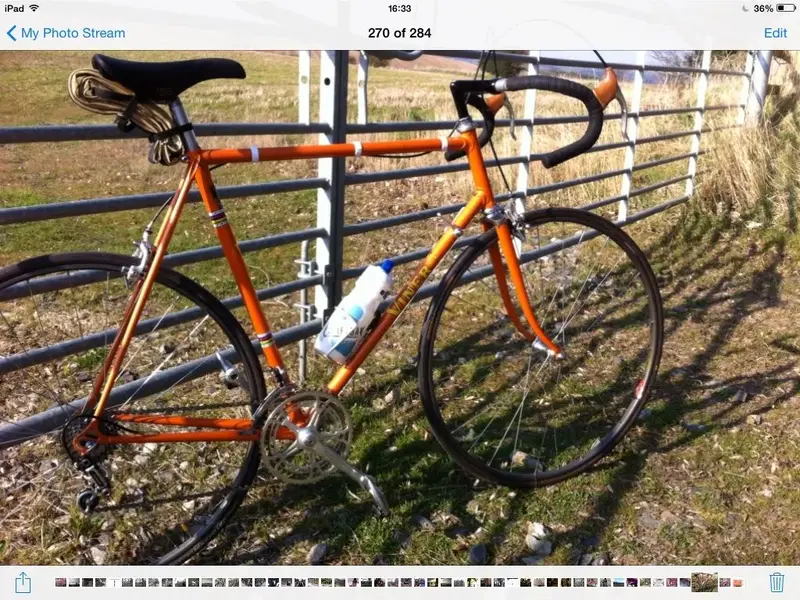 image.webp