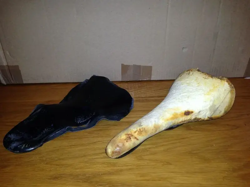 Saddle3.webp