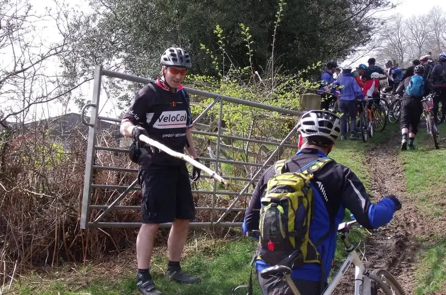 Ted gets the stick.webp
