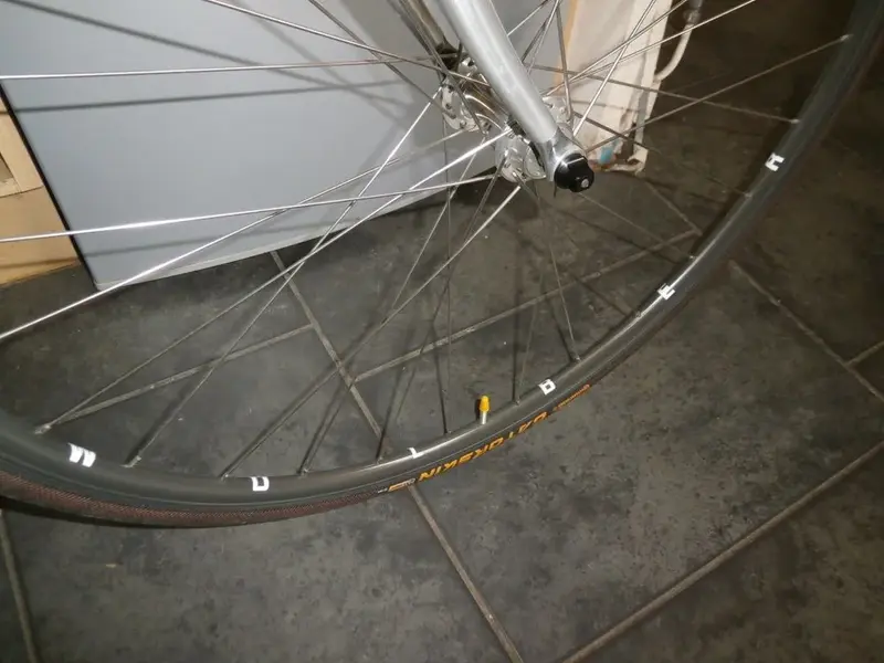 Rim decals.webp