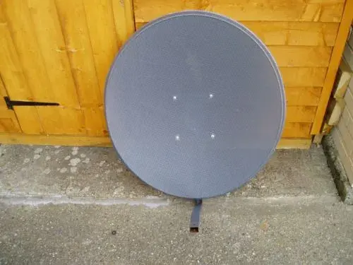 dish.webp