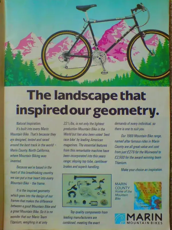 bear valley ad.webp