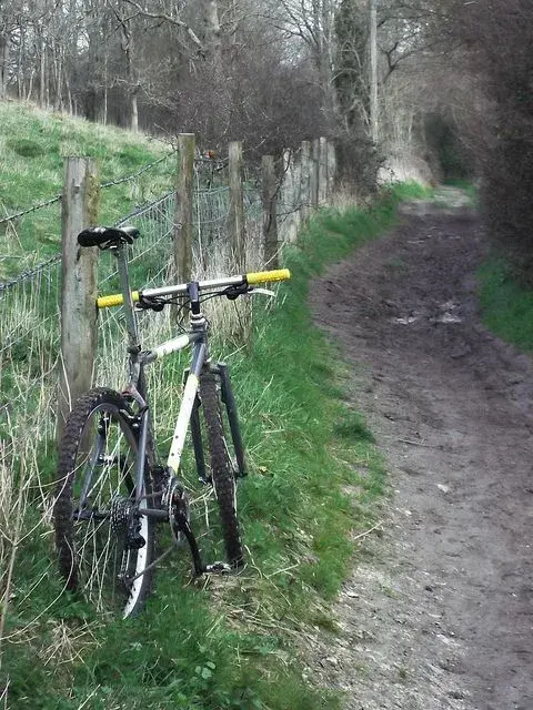 Bonty 1st ride 1.webp