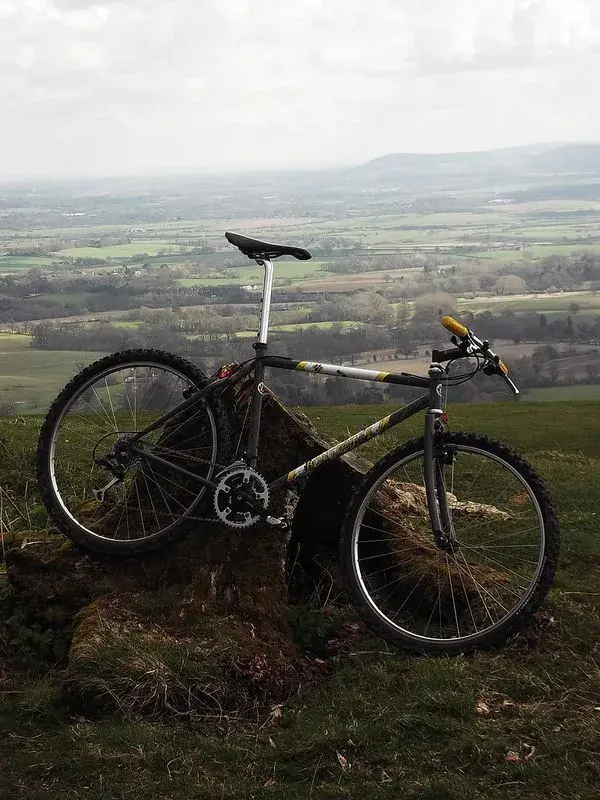 Bonty 1st ride 2.webp