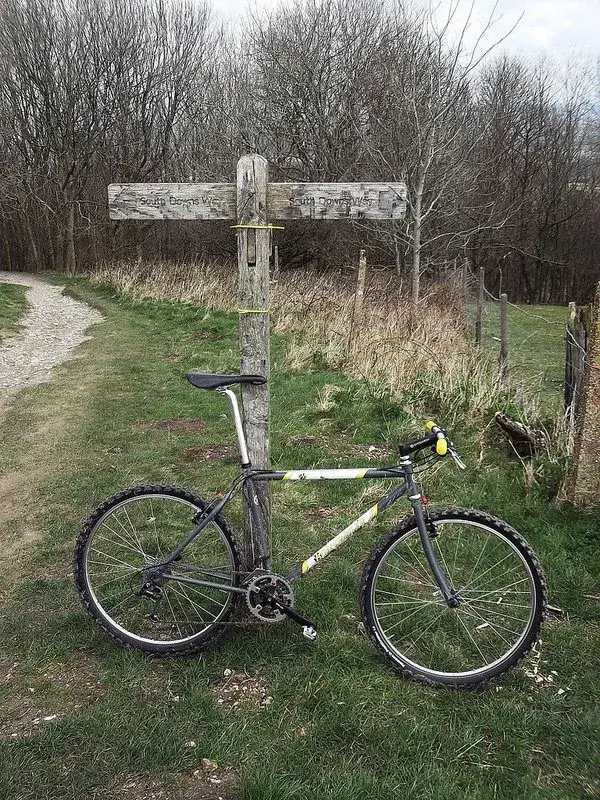 Bonty 1st ride 3.webp