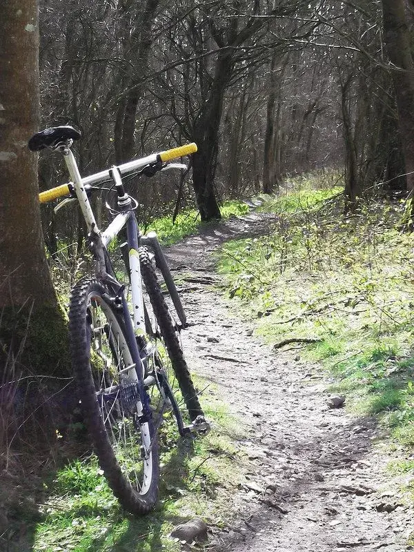 Bonty 1st ride 4.webp