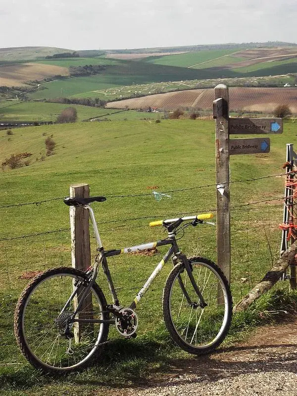 Bonty 1st ride 5.webp