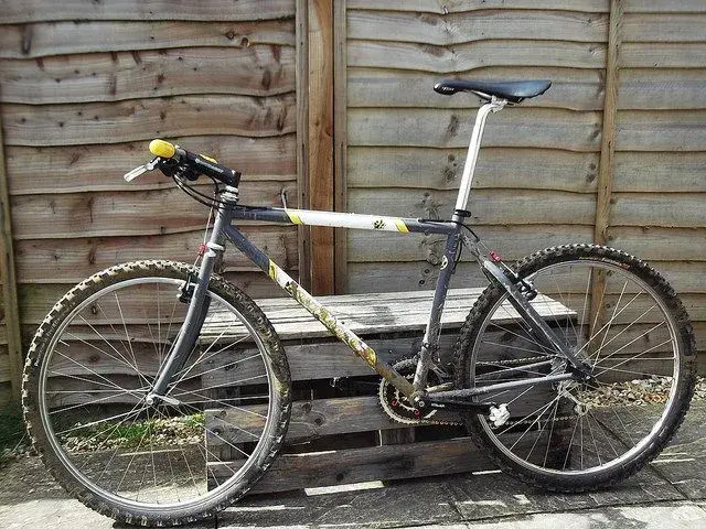 bonty after 1st ride.webp