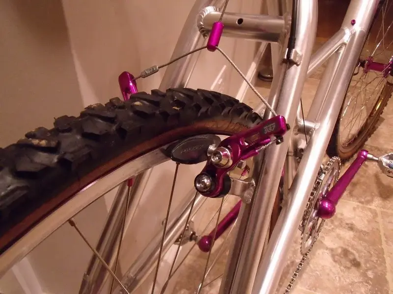 rear clean.webp