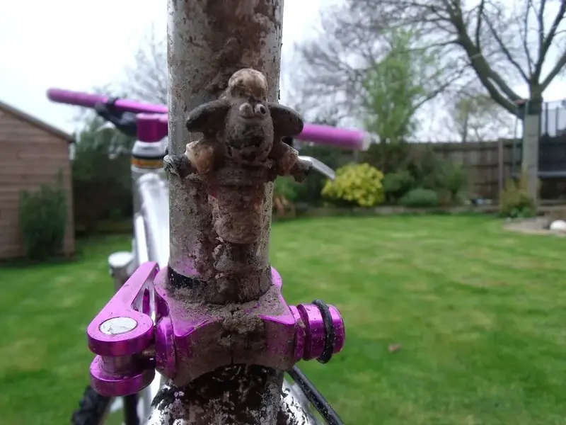 shaun dirty.webp