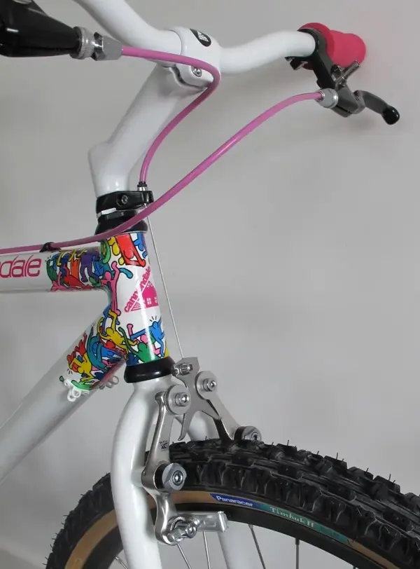 Front roller cam_fitted.webp
