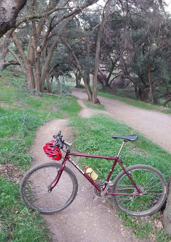 sf.Todays Ride 2-14-14 e.web.webp