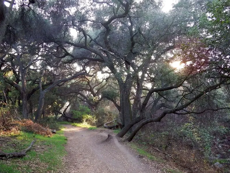 sf.Todays Ride 2-14-14 d.web.webp