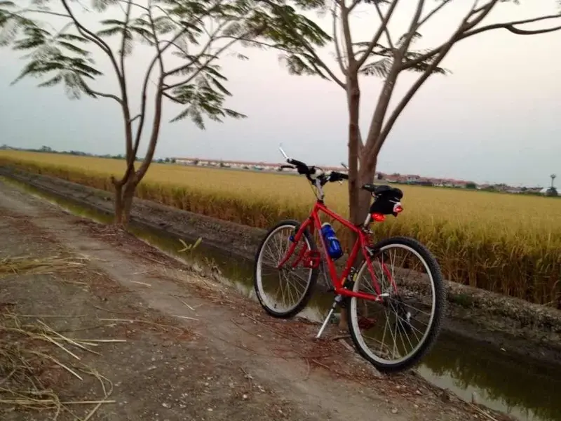 image.webp