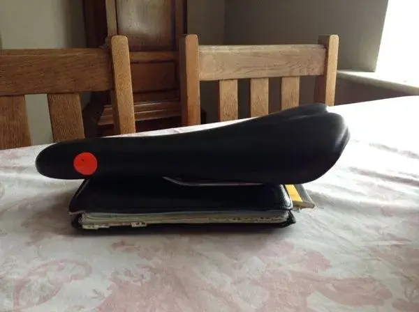 titanium saddle.webp