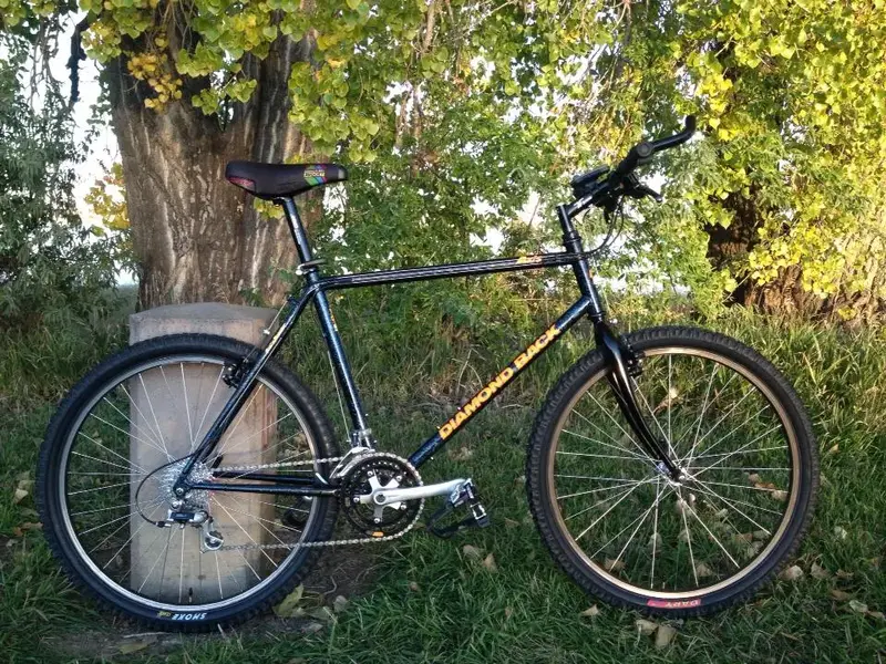Diamondback2.webp