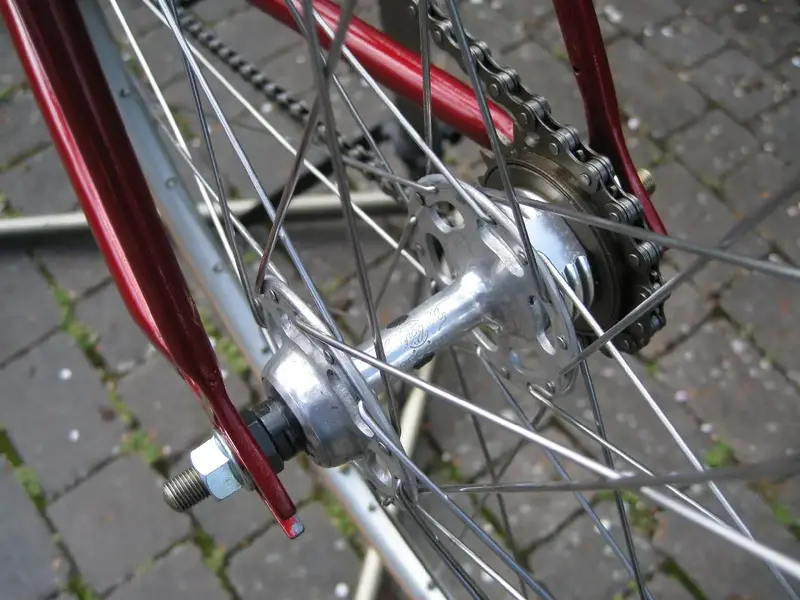 image007.webp