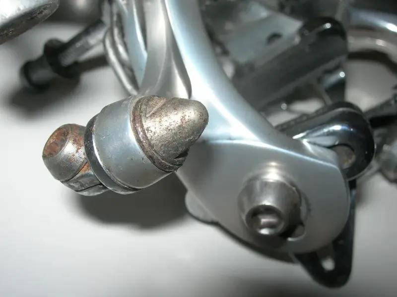 DSCN7656.webp
