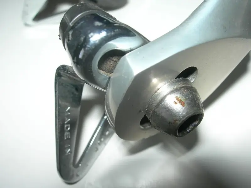 DSCN7655.webp