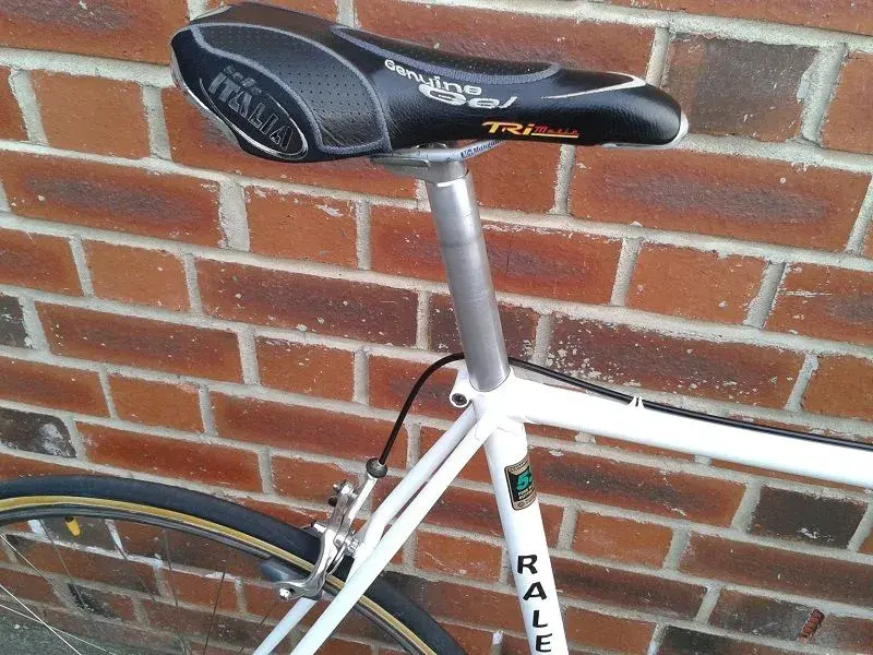 Raleigh 3.webp