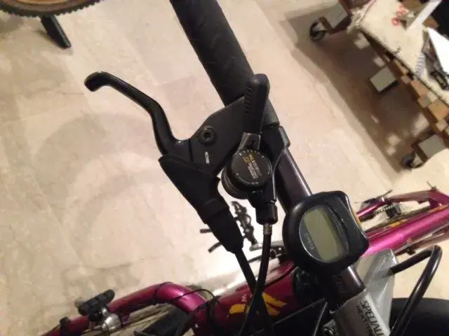image.webp