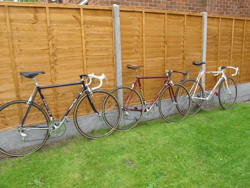 3 Bikes 1.webp