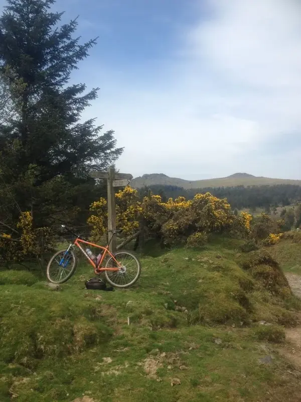 dartmoor 5 5 14 (4).webp