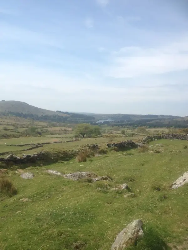 dartmoor 5 5 14 (6).webp