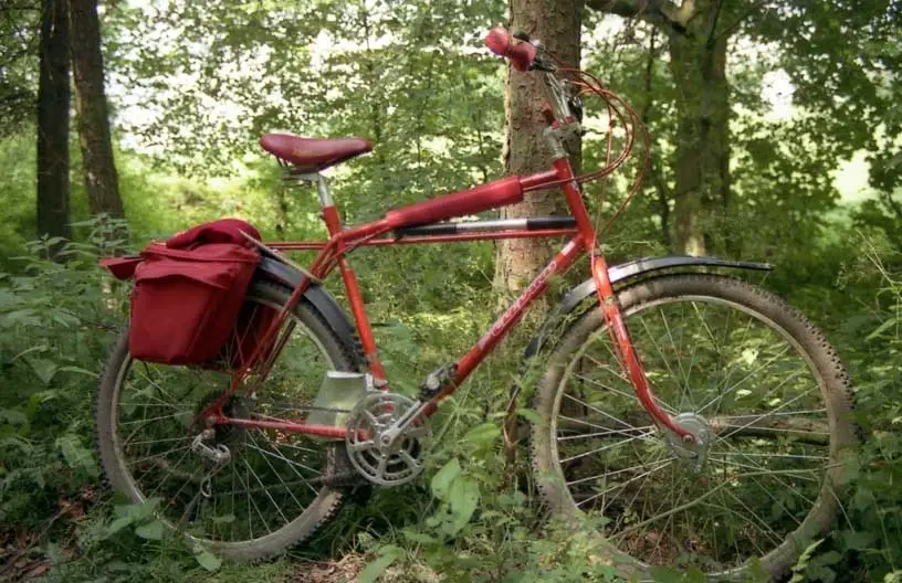 1984%20Cleland%20Aventura.webp