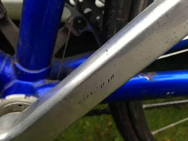 bike2.webp